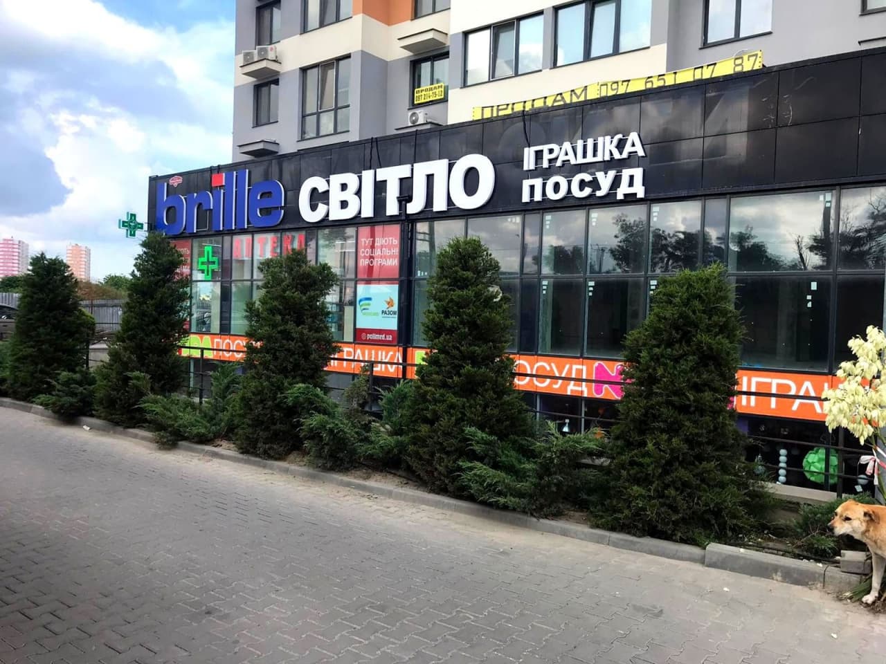 Магазин Brille, м. Одеса, пр-т Небесної сотні, 111 Магазин Brille, м. Одеса, пр-т Небесної сотні, 111