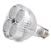 Лампа світлодіодна для трекових світильників LED E27 35W CW PAR38 220V