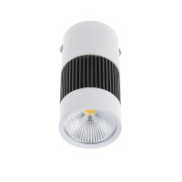 Светильник потолочный LED накладной LED-217/8W NW WH