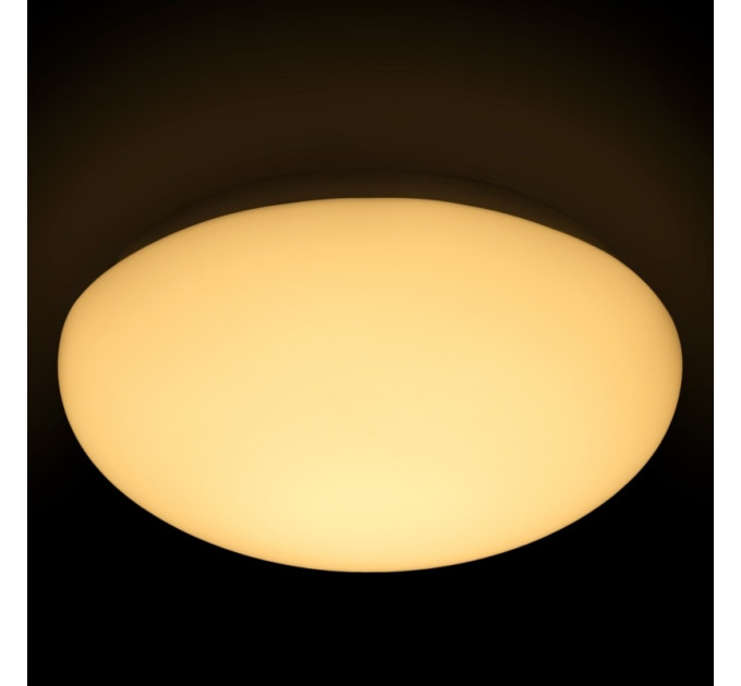 Світильник настінно-стельовий світлодіодний накладний W-600/8W WW