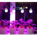 Фітолампа для зростання та формування коренів LED E27 12W Fito GROW (Full Spectrum=9:1) 220V