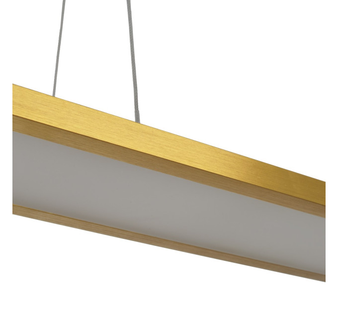 Светильник потолочный подвесной лофт для спальни светодиодный BL-839S/50W WW G
