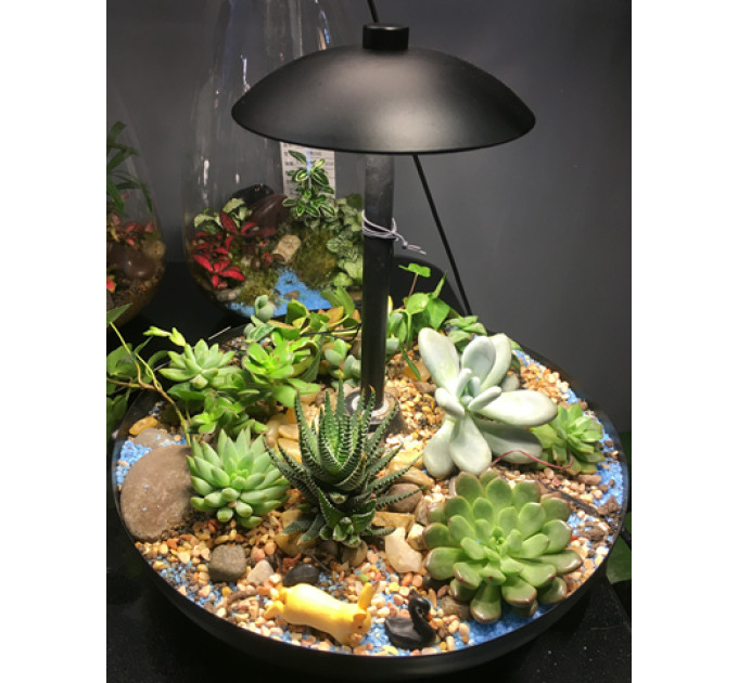 Подсветка светодиодная декоративная с растениями BL-991T/10+5W WW BK LED