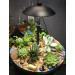 Подсветка светодиодная декоративная с растениями BL-991T/10+5W WW BK LED
