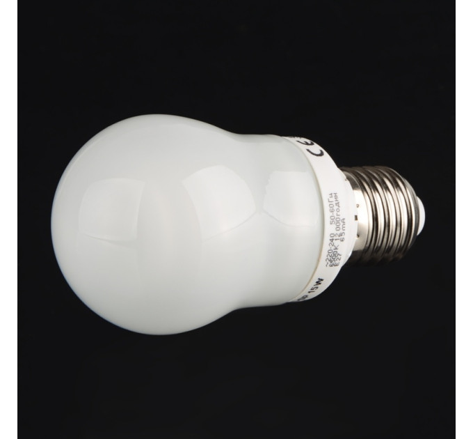 Лампа енергозберігаюча 15W/827 E27 WW G55 (PL-SP) 220V
