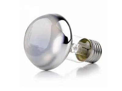 Лампи для систем освітлення в школах та дитячих садках