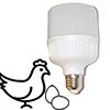 Лампа для яйценоскости